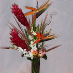 Seller Image